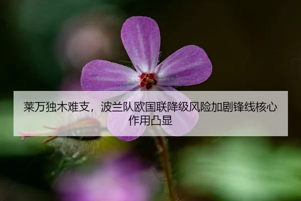 莱万独木难支，波兰队欧国联降级风险加剧锋线核心作用凸显